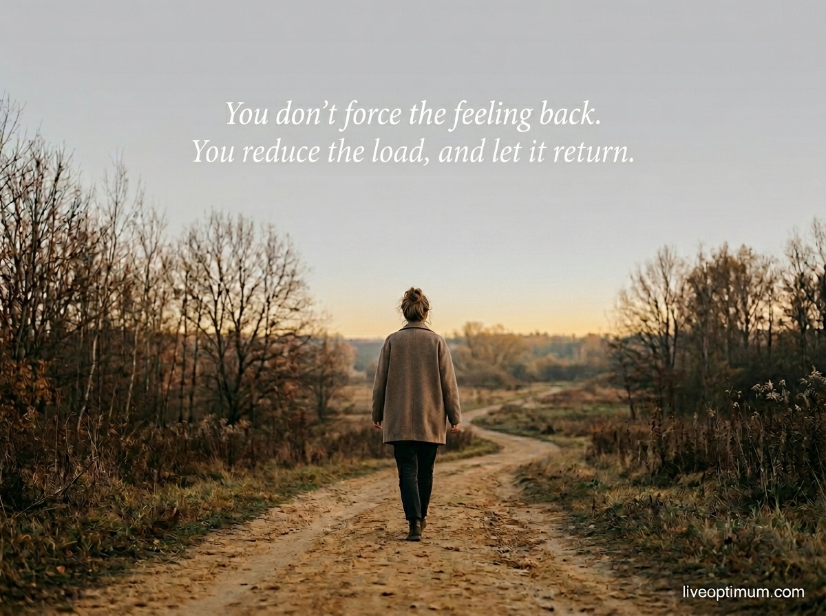 Person walking alone in nature as part of recovering from emotional numbness a nervous system reset for why do I feel numb